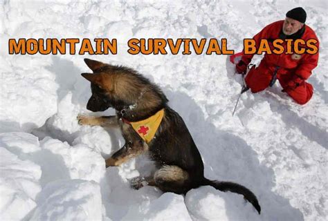 Mountain Survival - How To Survive In The Mountains