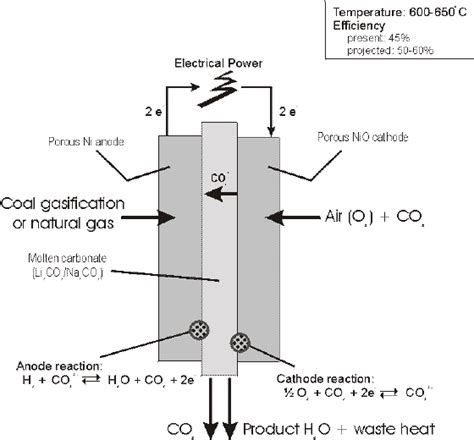 Molten carbonate fuel cell