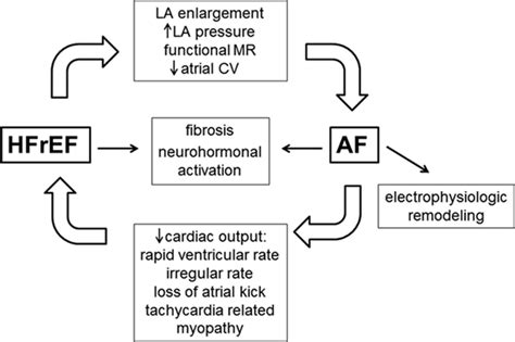 Afib With Rvr Treatment