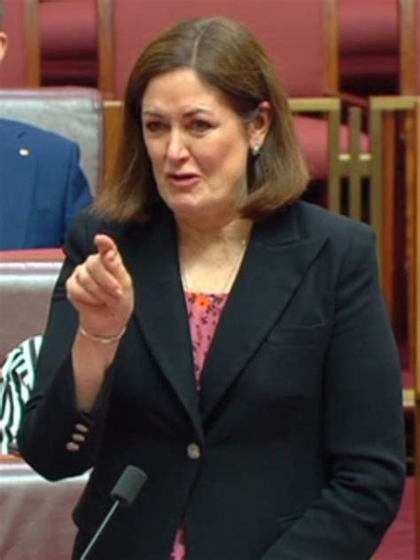 Incident in the Upper House was ‘dramatic and distressing’: Rita Panahi ...