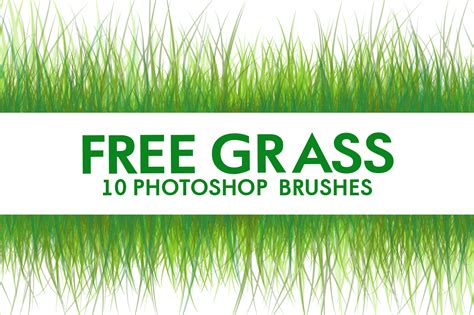 Free photoshop grass brushes - kdastorm