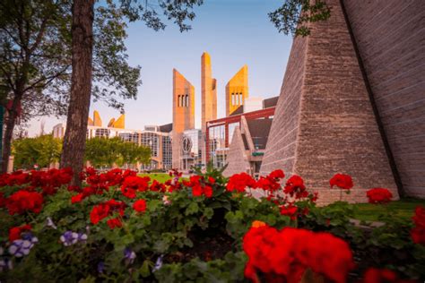 MacEwan University - Supply Chain Management Education