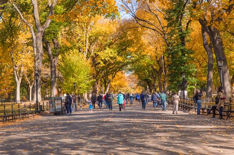 Best fall foliage in New York from Central Park to the Catskills