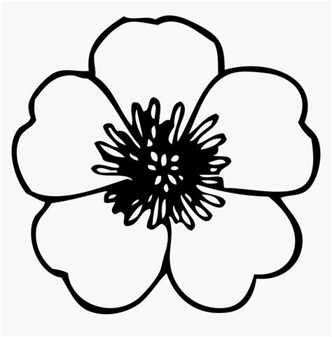 Simple Flower Clipart Black And White - Poppies Black And White, HD Png ...