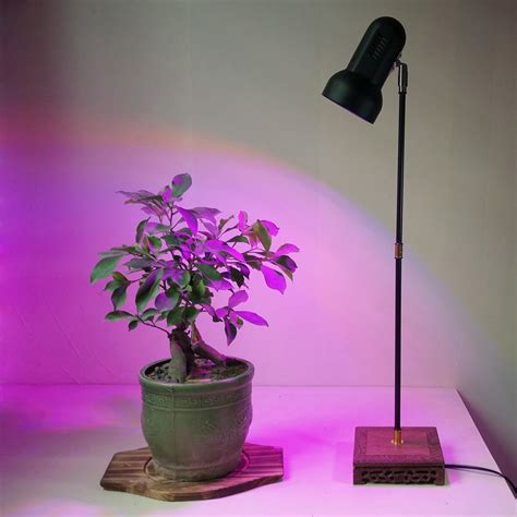 How To Make Indoor Grow Light Plant Stands & Fixtures 2023