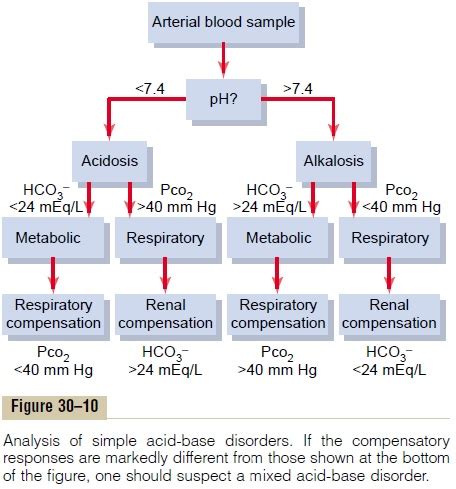 Clinical Measurements and Analysis of Acid-Base Disorders