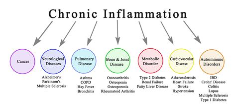 Is Inflammation contributing to your Health Issues? - Nurtured Bones