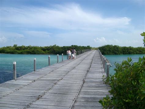 Free Stock photo of Wooden road bridge in Mexico | Photoeverywhere