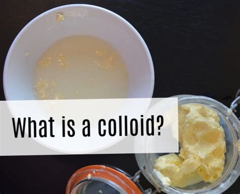 Colloid Examples Food