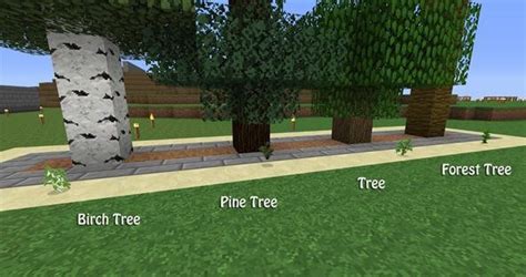 How to Build a Tree Farm in Minecraft for Easy Access to All Types of ...