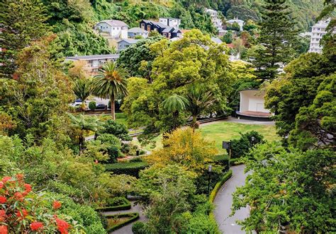 Wellington Botanic Garden: Oasis in the City - Motorhomes, Caravans & Destinations NZ