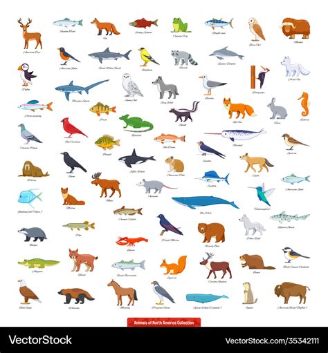 Animals north america collection Royalty Free Vector Image