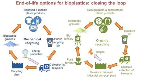 Biodegradable vs. Recyclable Plastics: Which Is Better for the ...