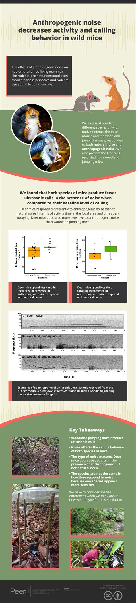 Anthropogenic noise decreases activity and calling behavior in wild ...