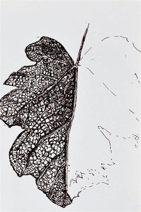 Dead leaf Drawing by Linda Sgoluppi | Saatchi Art