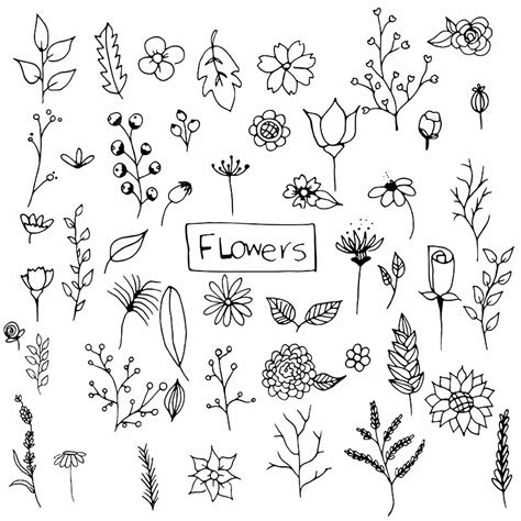 Hand Drawn Flower Vector Hd Images, Hand Drawn Flowers Pack, Hand Drawn ...