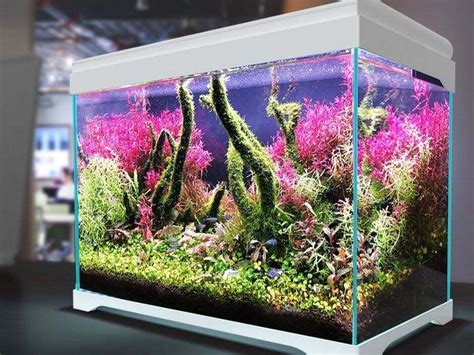 Simple Aquarium Designs For Home | Awesome Home