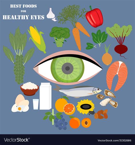 Best foods for healthy eyes Royalty Free Vector Image