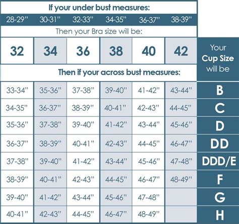 34c Bra Size Means - Fakta Seputar Payudara