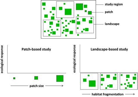 Habitat fragmentation: A long and tangled tale - Fahrig - 2019 - Global Ecology and Biogeography ...