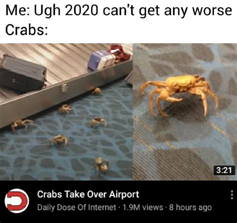 Crab rave : r/memes