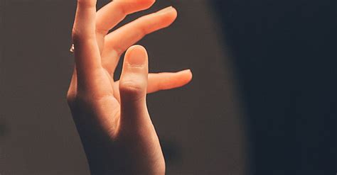 Person's Hand in Shallow Photo · Free Stock Photo