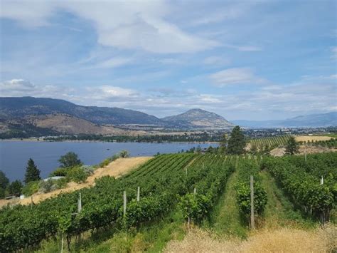 Pentage Winery (Penticton) - 2020 All You Need to Know BEFORE You Go ...