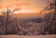 82 Jasper, GA ideas in 2023 | north georgia mountains, pickens county ...