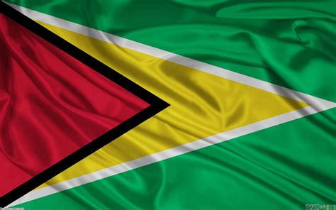 National Flag Of Guyana - RankFlags.com – Collection of Flags