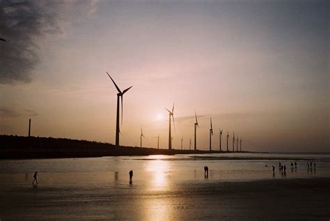 Taichung Gaomei Wetlands Wildlife Refuge | chen shi liu | Flickr