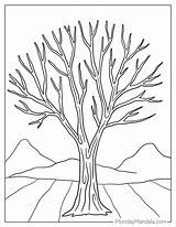 38 Tree Coloring Pages Free PDF Printables sketch template