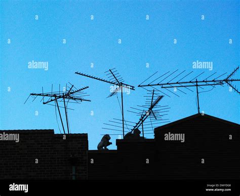 Antenna Tv Old Fashioned High Resolution Stock Photography and Images ...