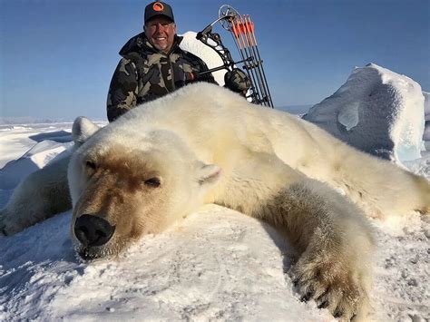 Biggest Polar Bear Killed