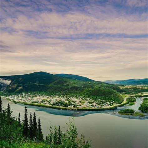 Visitor's Perspective - Dawson City Yukon | Dawson city yukon, City, Perspective