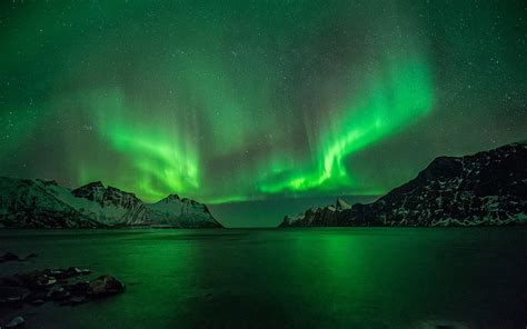 HD wallpaper: green northern lights, aurorae, nature, sky, Norway ...