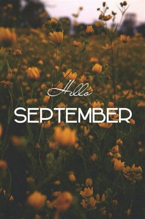 Hello September With Field Of Flowers Pictures, Photos, and Images for ...