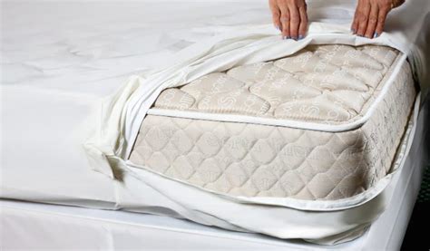 Top 5 Best bed Bug Mattress Encasements | Reviews & Buyers Guide