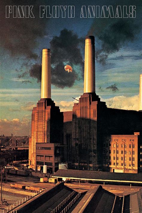 Pink Floyd - Animals Album Cover - Poster – TrippyStore