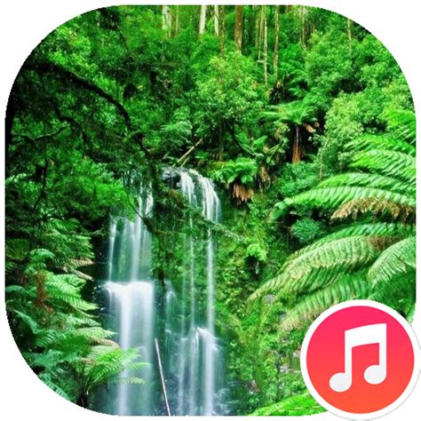 Rain Forest Sounds - Apps on Google Play