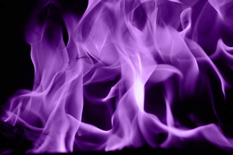 Purple Fire Wallpapers - 4k, HD Purple Fire Backgrounds on WallpaperBat