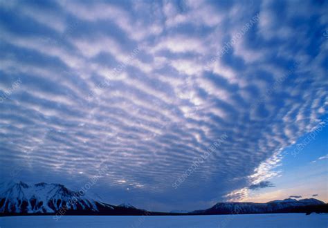 Altocumulus clouds - Stock Image - E120/0503 - Science Photo Library