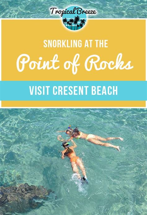 Snorkeling at Point of Rocks | Tropical Breeze Resort & Hotel | Siesta key florida, Florida ...