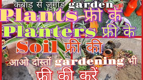 जीरो बजट में gardening कैसे करें ? #फ्री की gardening #spider plants propagation # garden # ...