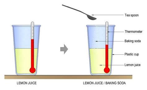 Chemistry science project - Endothermic reactions (With images) | Science chemistry, Chemistry ...