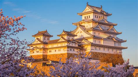 Himeji Castle Cherry Blossom Spot - backiee