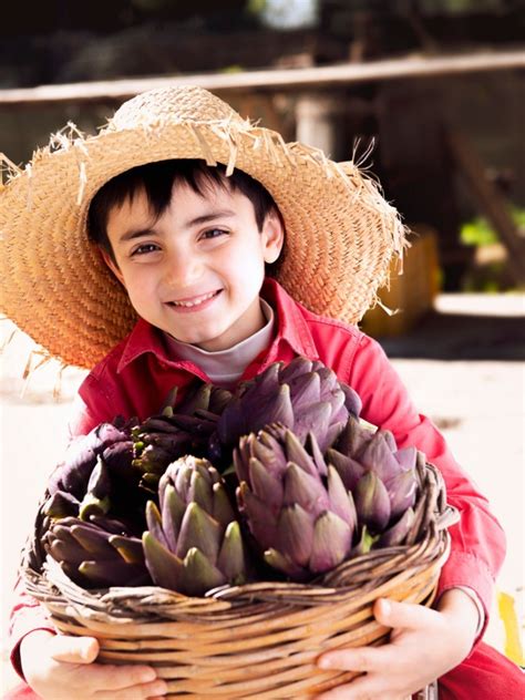 Artichoke Harvest: How To Tell When An Artichoke Is Ripe | Gardening Know How