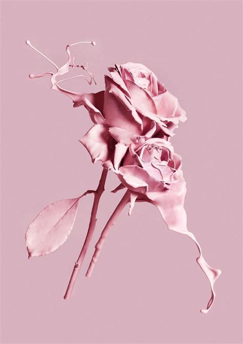 Best Pinterest Pink Aesthetic Wallpaper Desktop Images - codinganku