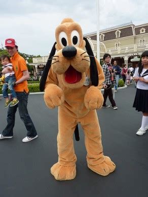 Pluto | Disney Parks Characters Wiki | Fandom