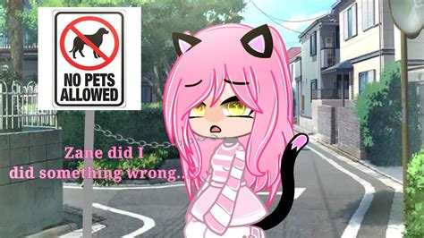 🐈No pets allowed🐕‍🦺 (Meme) //Gacha club// •Zane & Kc• - YouTube