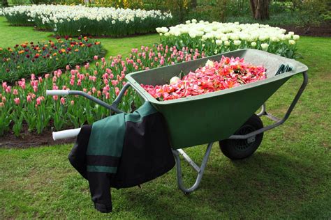 Free Images : work, grass, lawn, wheel, cart, tool, backyard, soil, garden, tools, move, yard ...